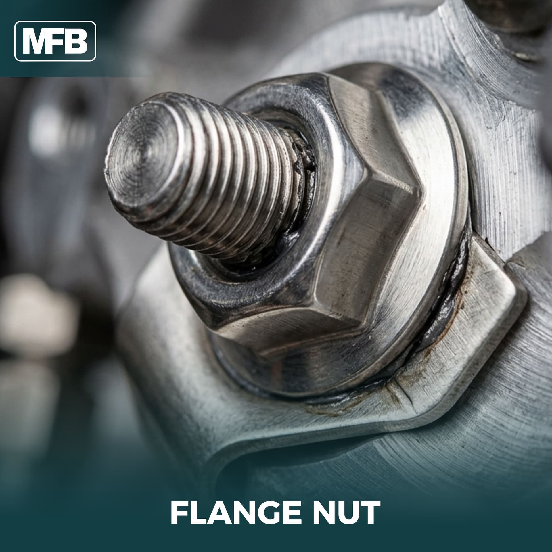 FLANGE NUT